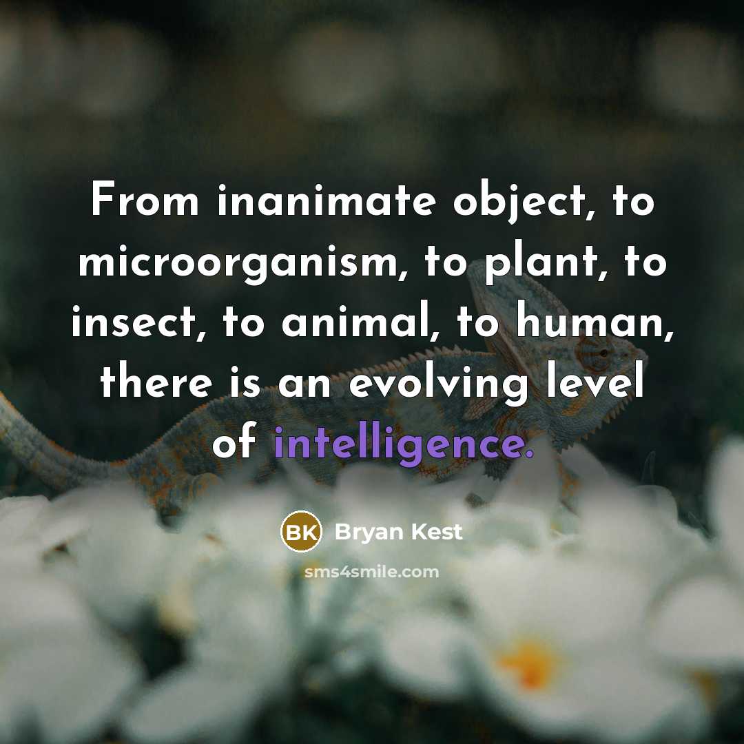 “From inanimate object, to microorganism, to plant, to insect, to…” quote by Bryan Kest