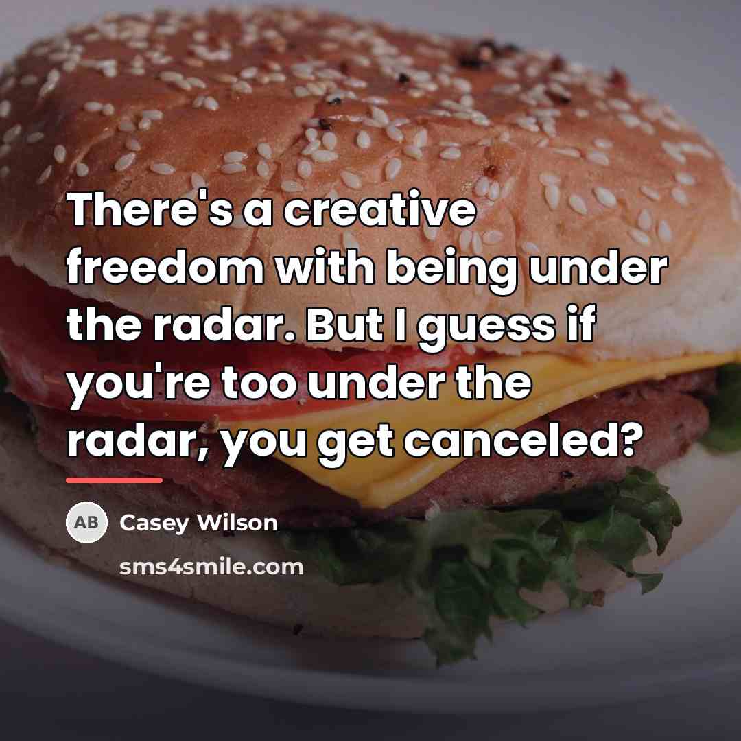 “There's a creative freedom with being under the radar. But…” quote by Casey Wilson