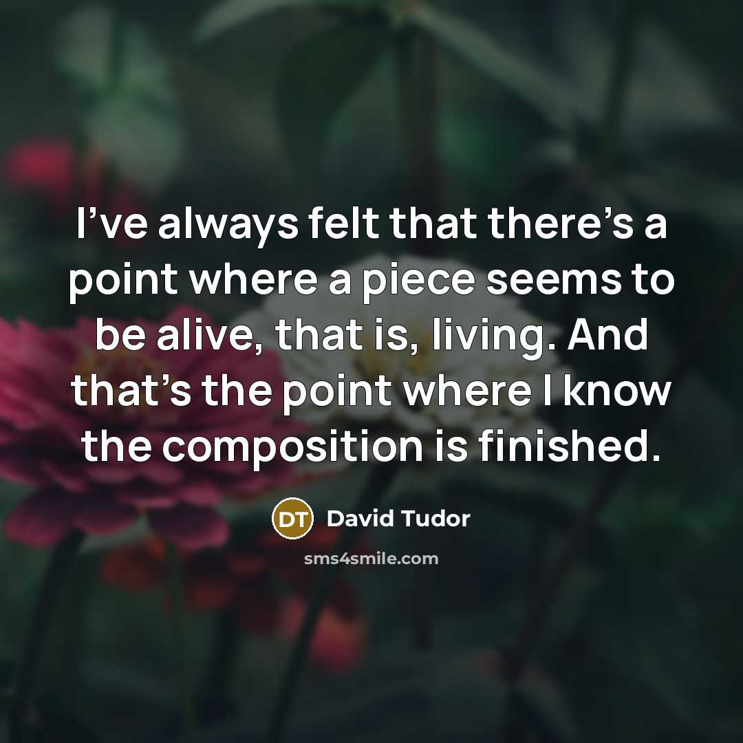 “I've always felt that there's a point where a piece…” quote by David Tudor