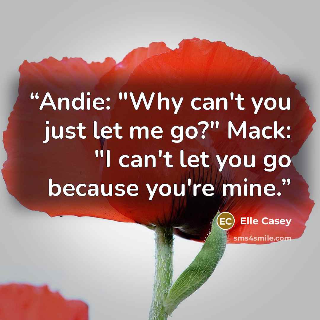 “Andie: "Why can't you just let me go?" Mack: "I can't let you go because you're mine.” quote by Elle Casey