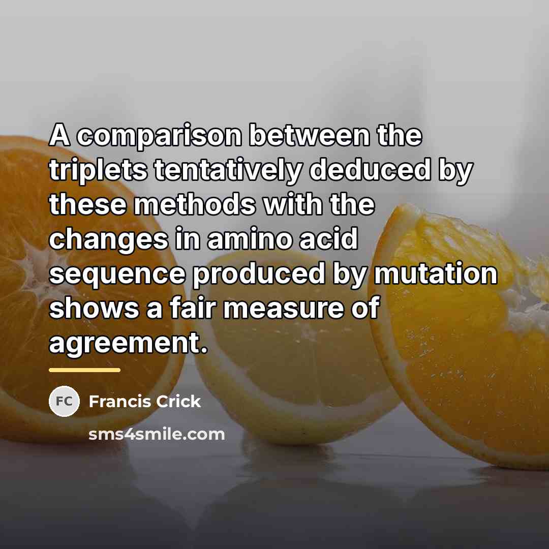 “A comparison between the triplets tentatively deduced by these methods…” quote by Francis Crick