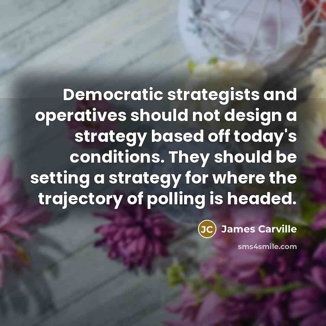 “Democratic strategists and operatives should not design a strategy based…” quote by James Carville