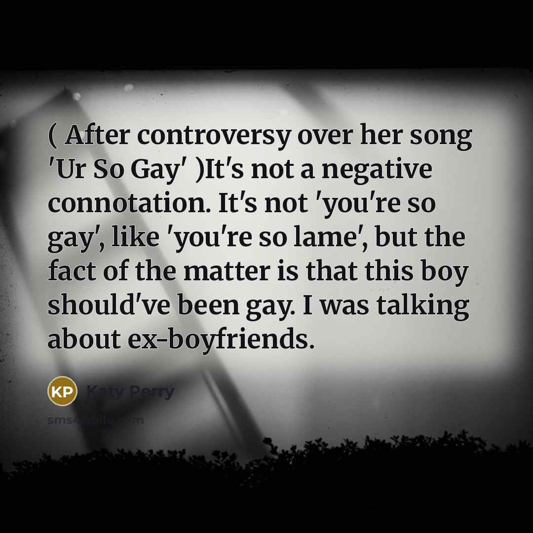 “( After controversy over her song 'Ur So Gay' )It's…” quote by Katy Perry