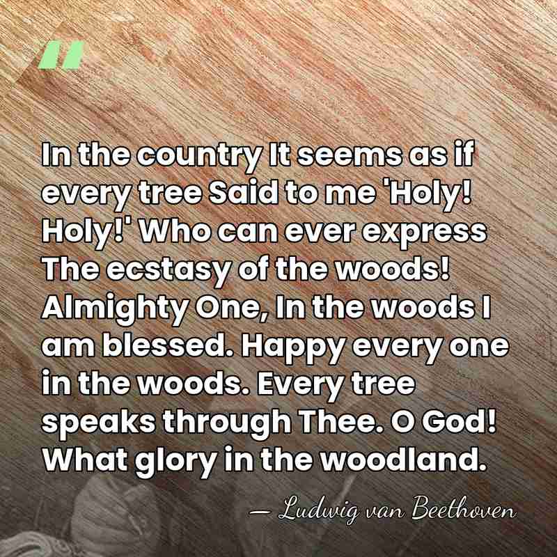 In the country It seems as if every tree Said to me&hellip; - Ludwig van Beethoven