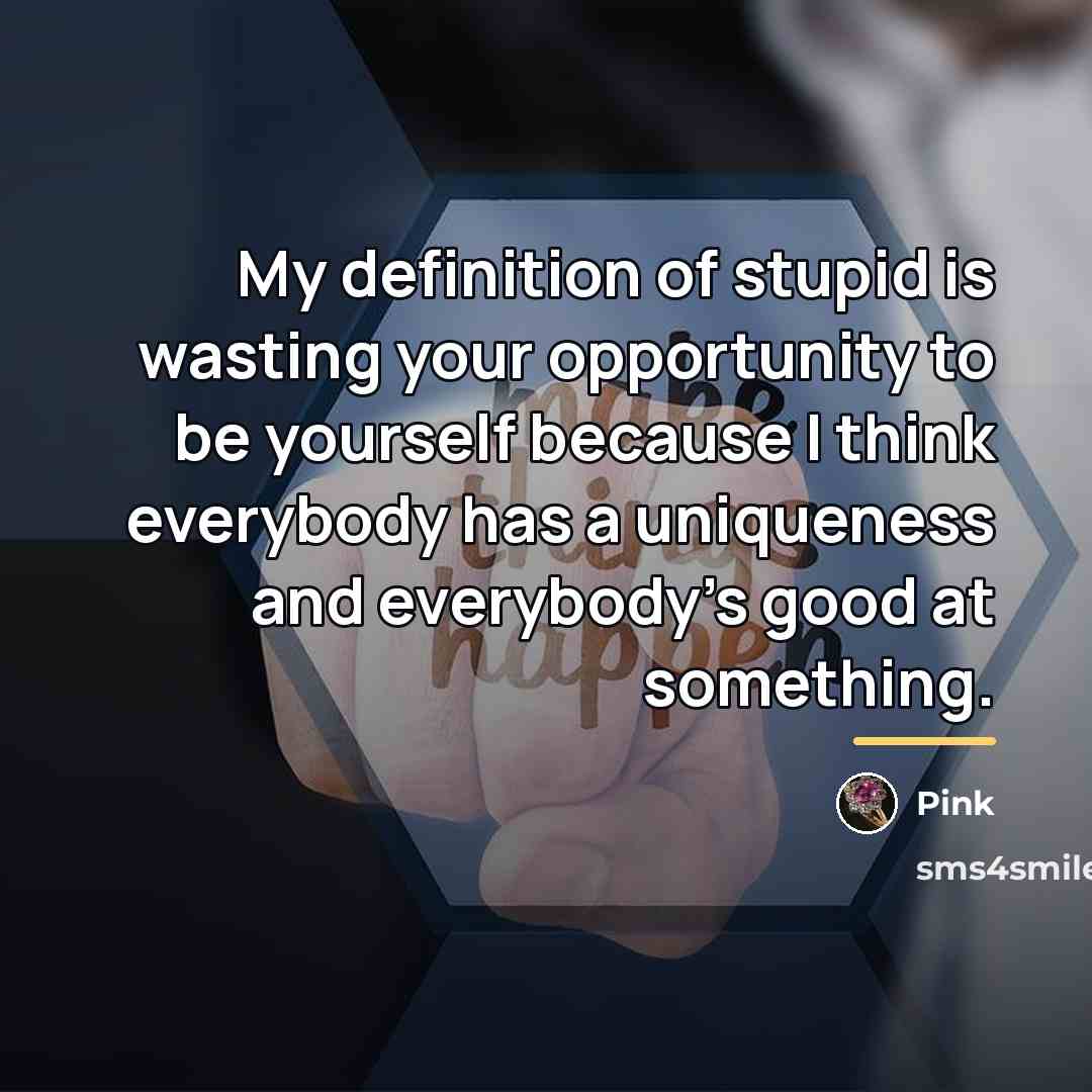 “My definition of stupid is wasting your opportunity to be…” quote by Pink
