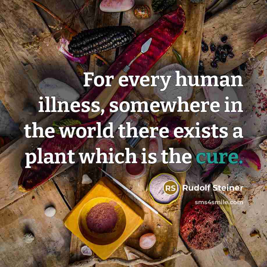 “For every human illness, somewhere in the world there exists a plant which is the cure.” quote by Rudolf Steiner