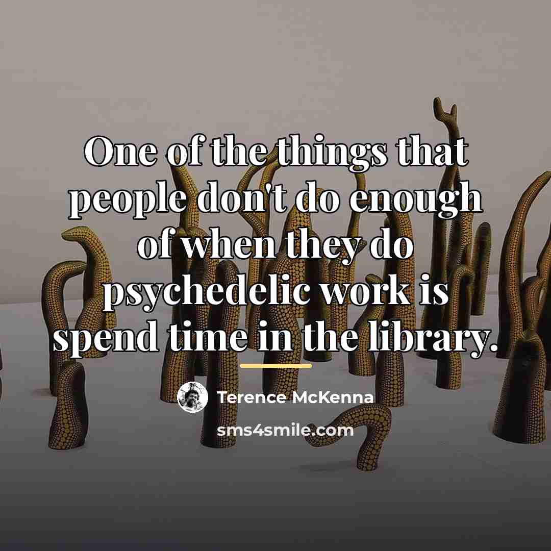 “One of the things that people don't do enough of…” quote by Terence McKenna