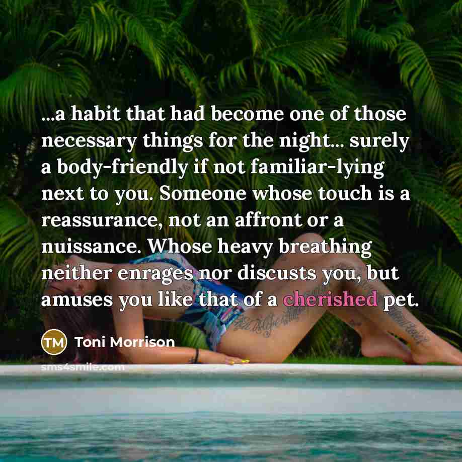 “...a habit that had become one of those necessary things…” quote by Toni Morrison