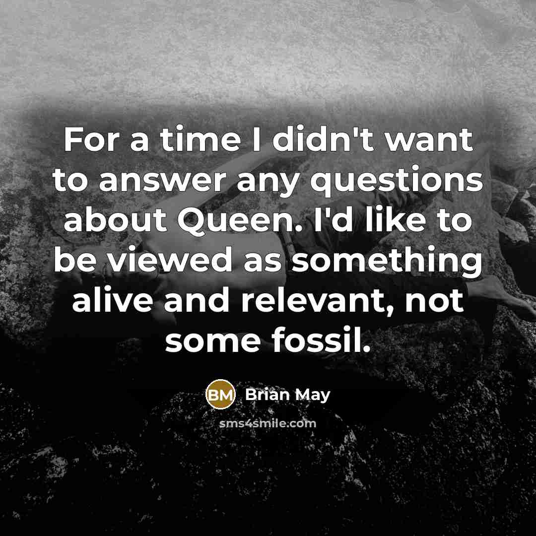 “For a time I didn't want to answer any questions…” quote by Brian May