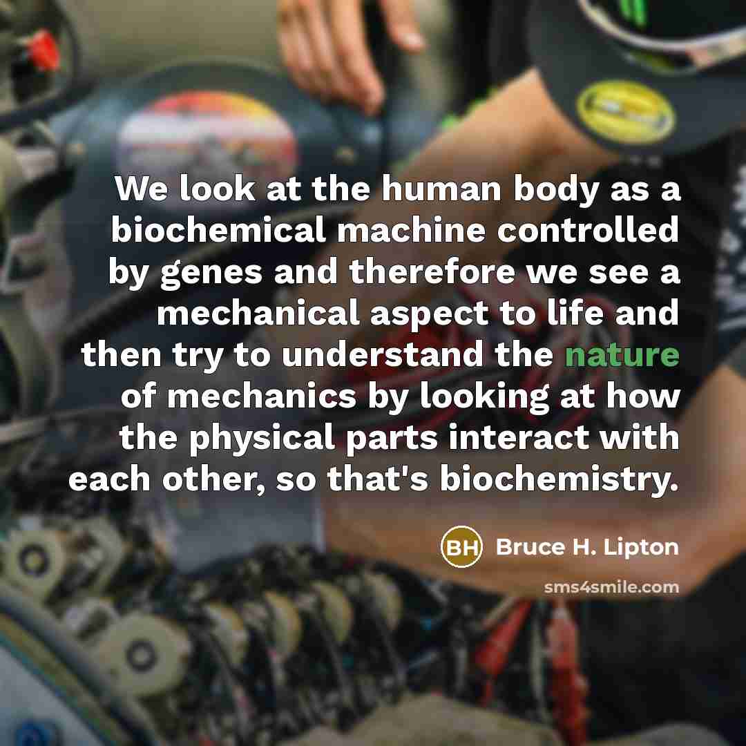 “We look at the human body as a biochemical machine controlled by genes and therefore we see a mechanical aspect to life and then try to understand the nature of mechanics by looking at how the physical parts interact with each other, so that's biochemistry.” quote by Bruce H. Lipton