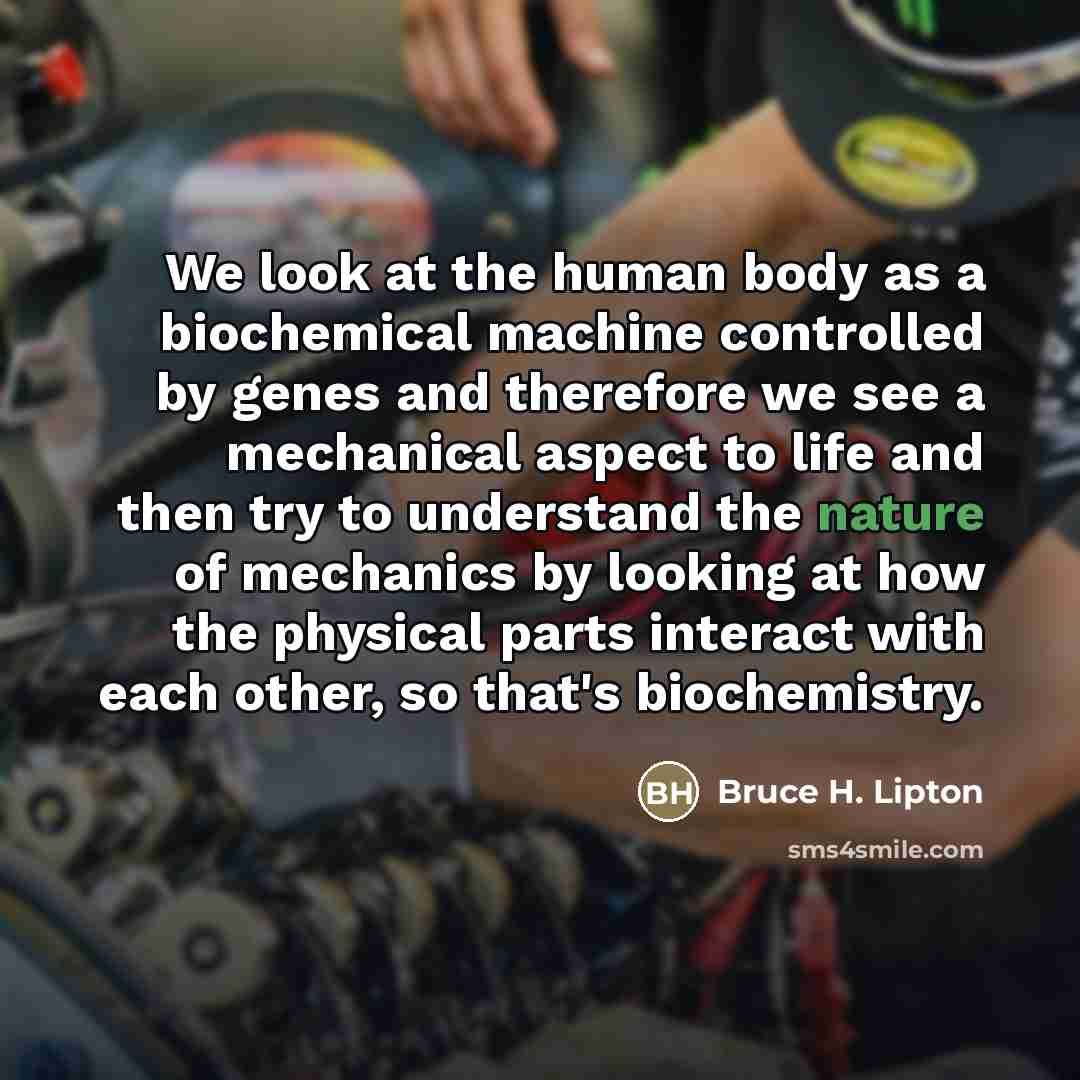 “We look at the human body as a biochemical machine…” quote by Bruce H. Lipton