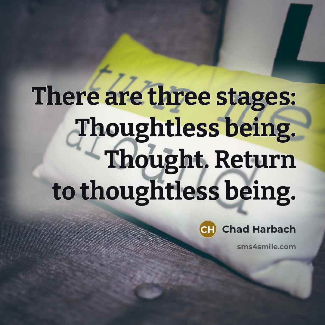 “There are three stages: Thoughtless being. Thought. Return to thoughtless…” quote by Chad Harbach