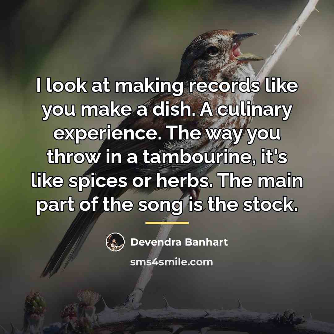 “I look at making records like you make a dish.…” quote by Devendra Banhart