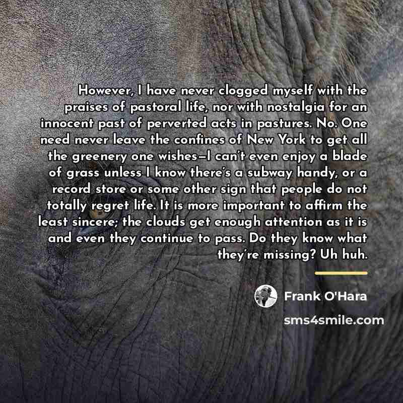 “However, I have never clogged myself with the praises of…” quote by Frank O'Hara