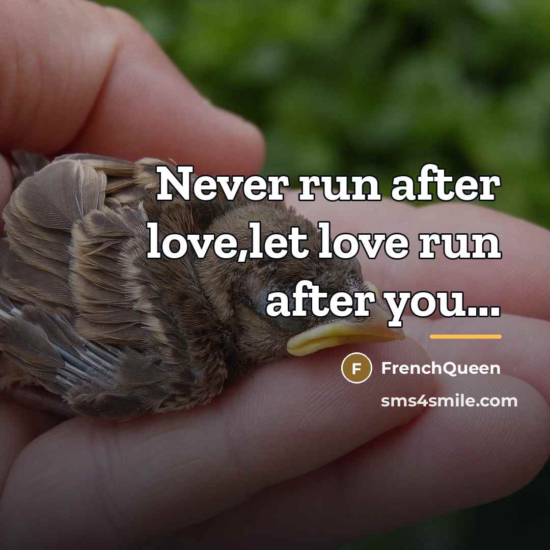“Never run after love,let love run after you...…” quote by Frenchqueen