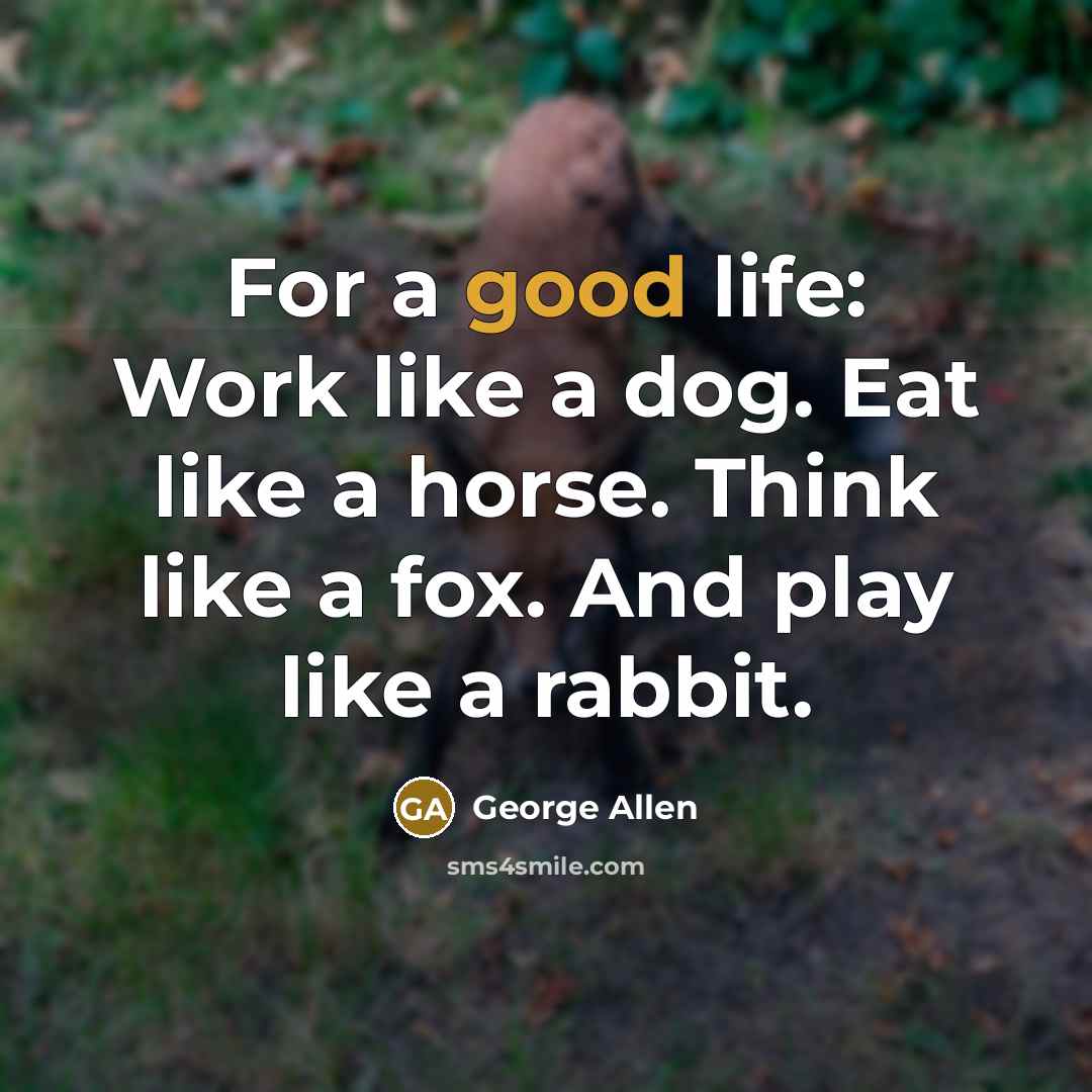 “For a good life: Work like a dog. Eat like…” quote by George Allen