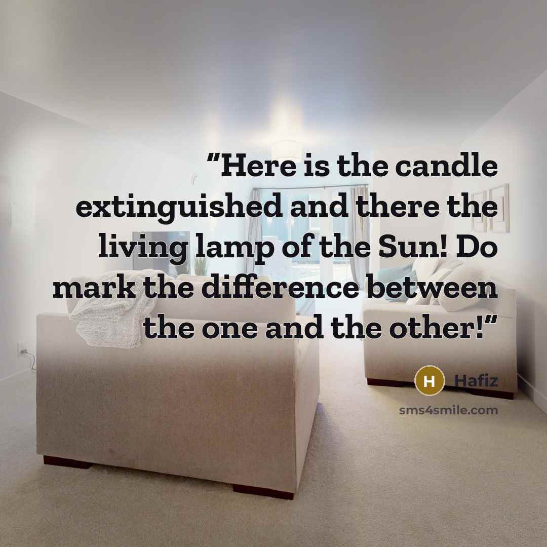 “Here is the candle extinguished and there the living lamp of the Sun! Do mark the difference between the one and the other!” quote by Hafiz