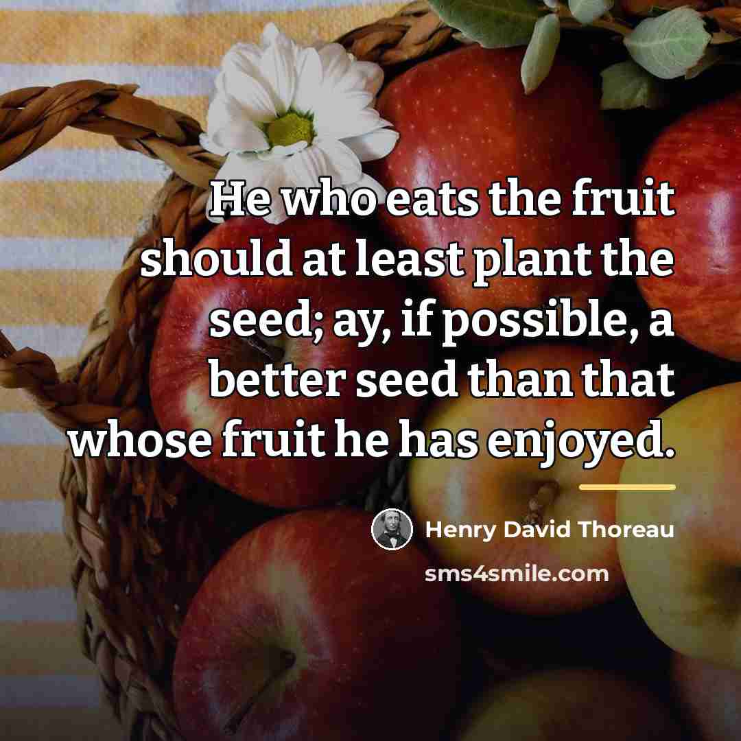 “He who eats the fruit should at least plant the…” quote by Henry David Thoreau