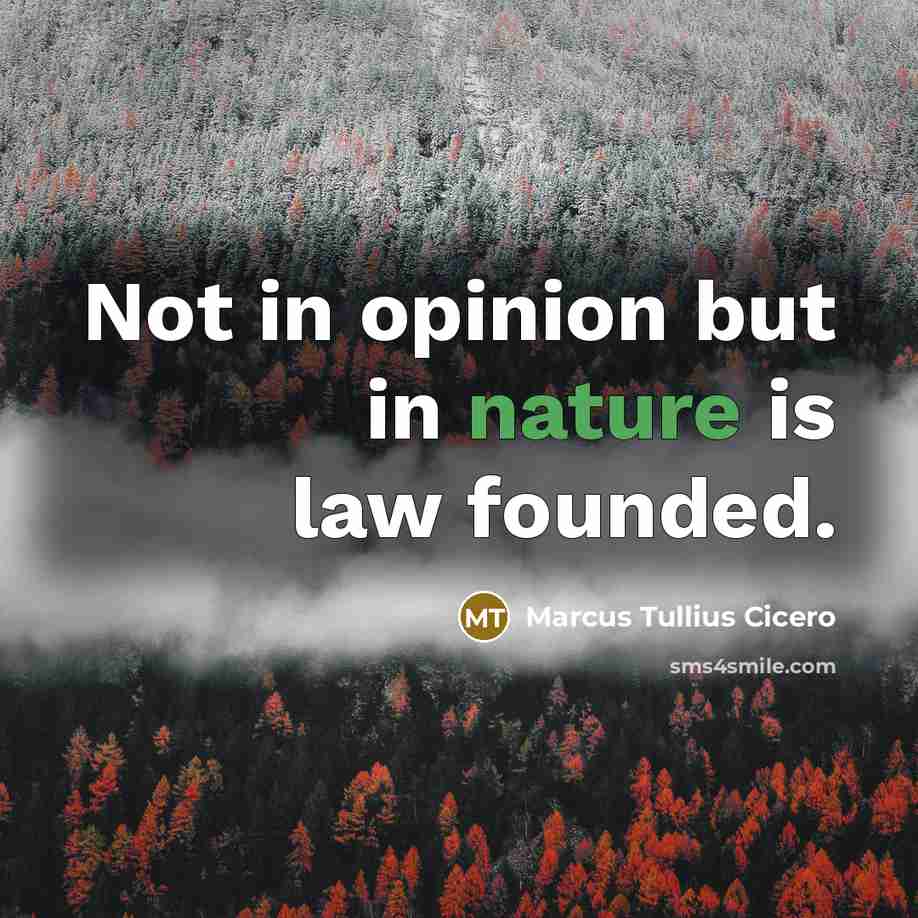 “Not in opinion but in nature is law founded.…” quote by Marcus Tullius Cicero