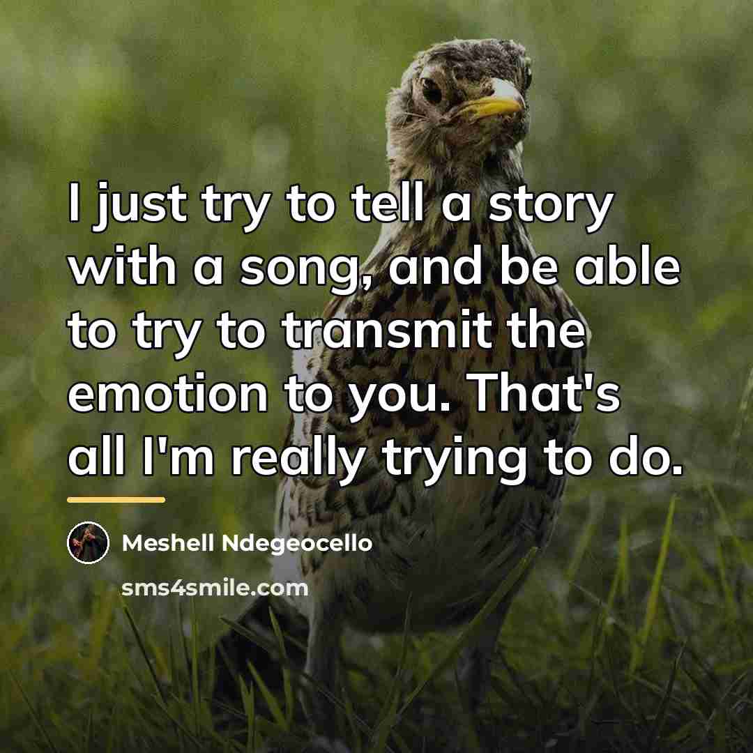 “I just try to tell a story with a song,…” quote by Meshell Ndegeocello
