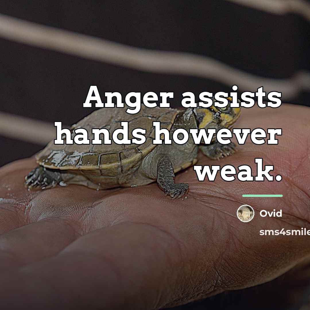 “Anger assists hands however weak.…” quote by Ovid