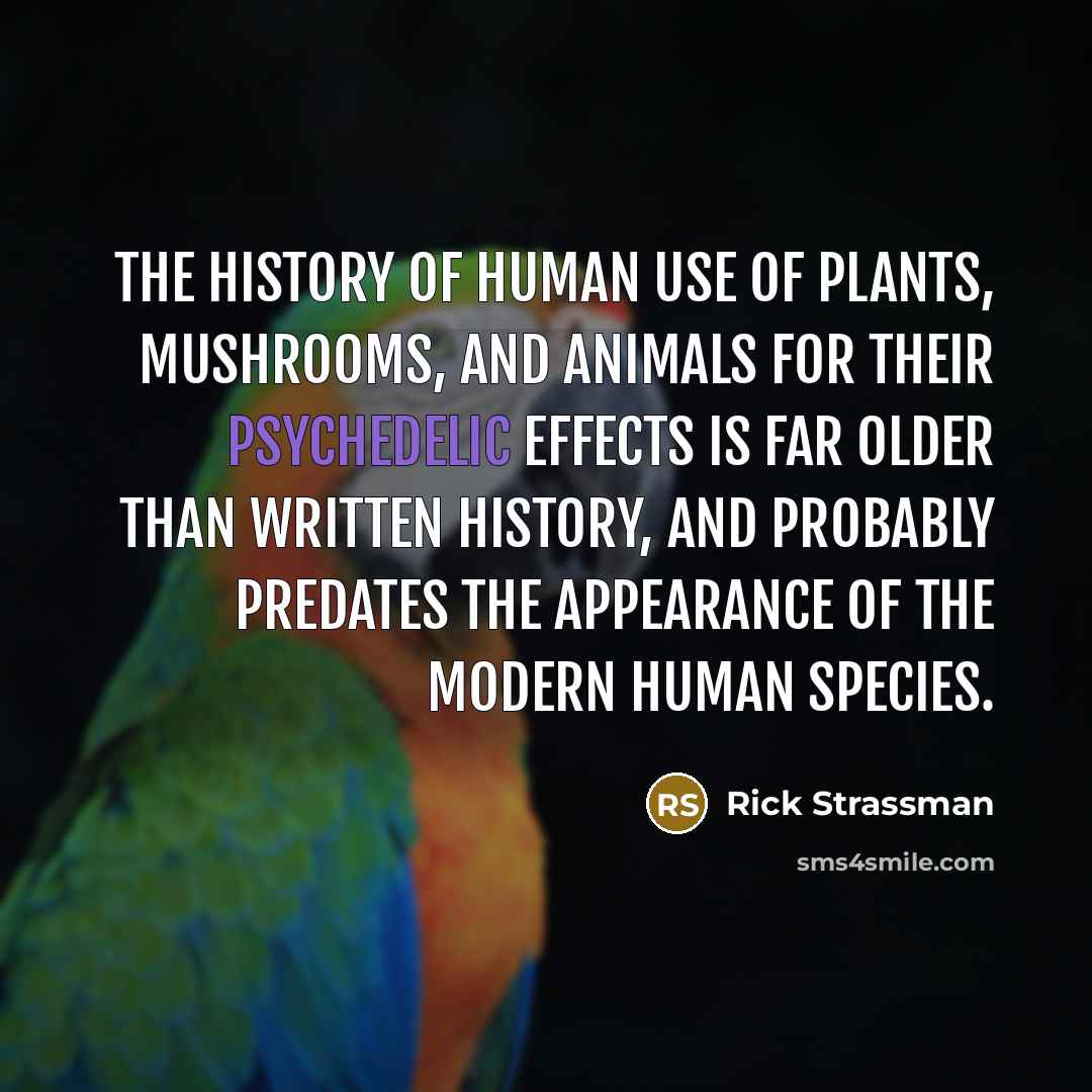 “The history of human use of plants, mushrooms, and animals…” quote by Rick Strassman