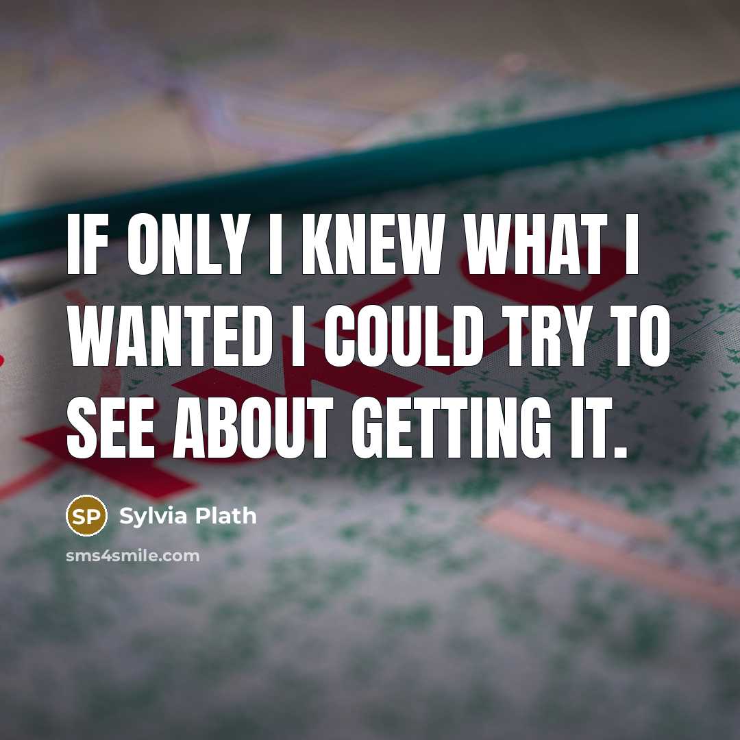 “If only I knew what I wanted I could try to see about getting it.” quote by Sylvia Plath