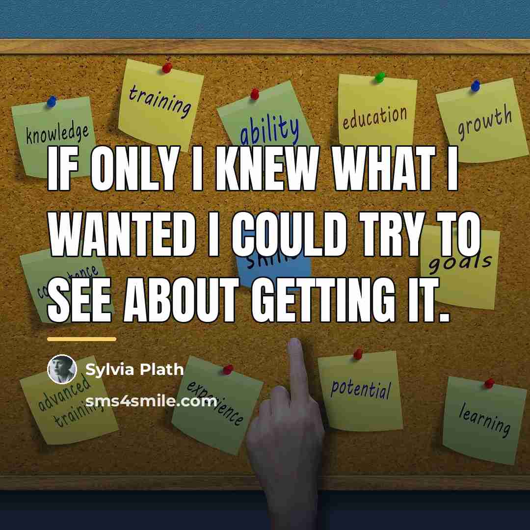 “If only I knew what I wanted I could try…” quote by Sylvia Plath