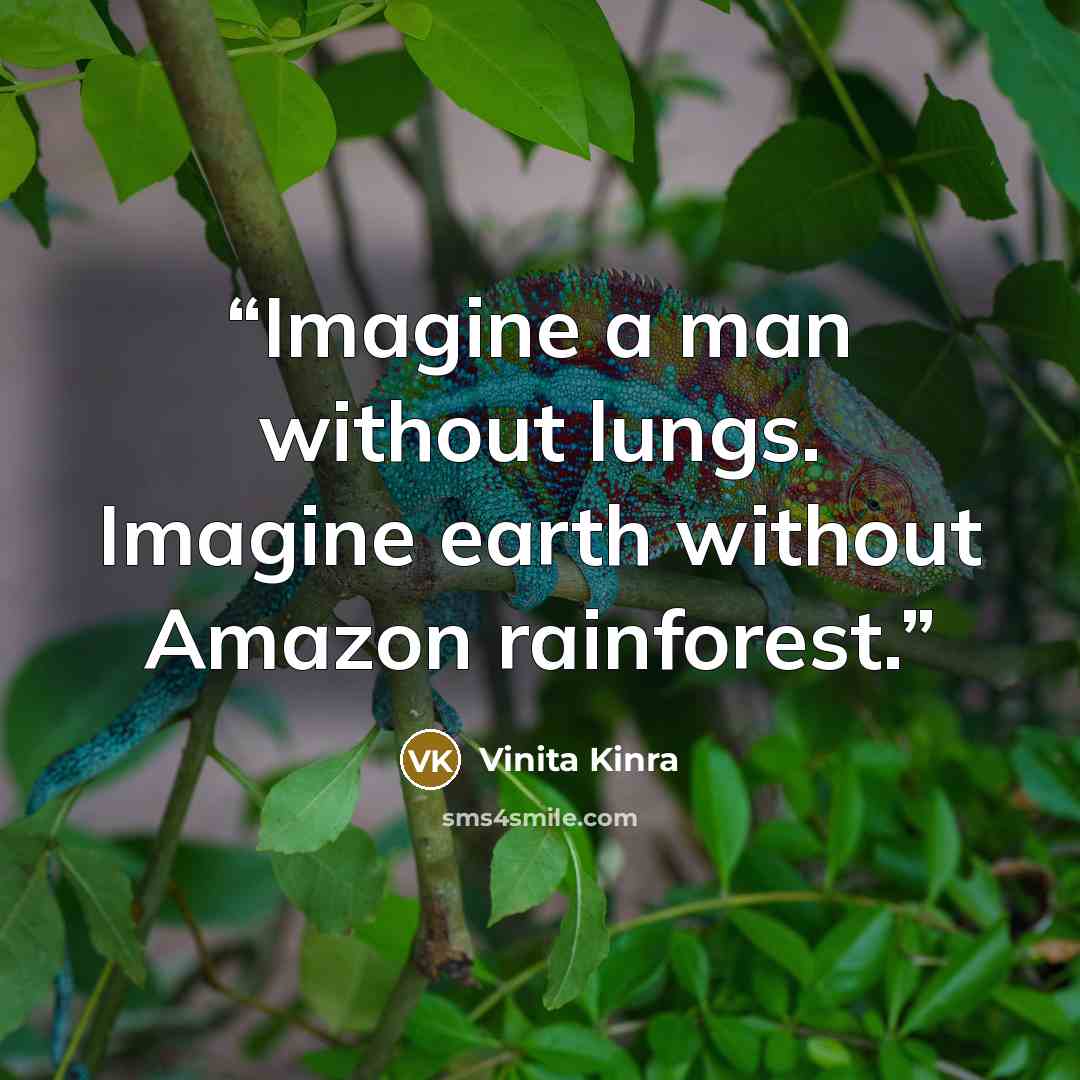 “Imagine a man without lungs. Imagine earth without Amazon rainforest.” quote by Vinita Kinra