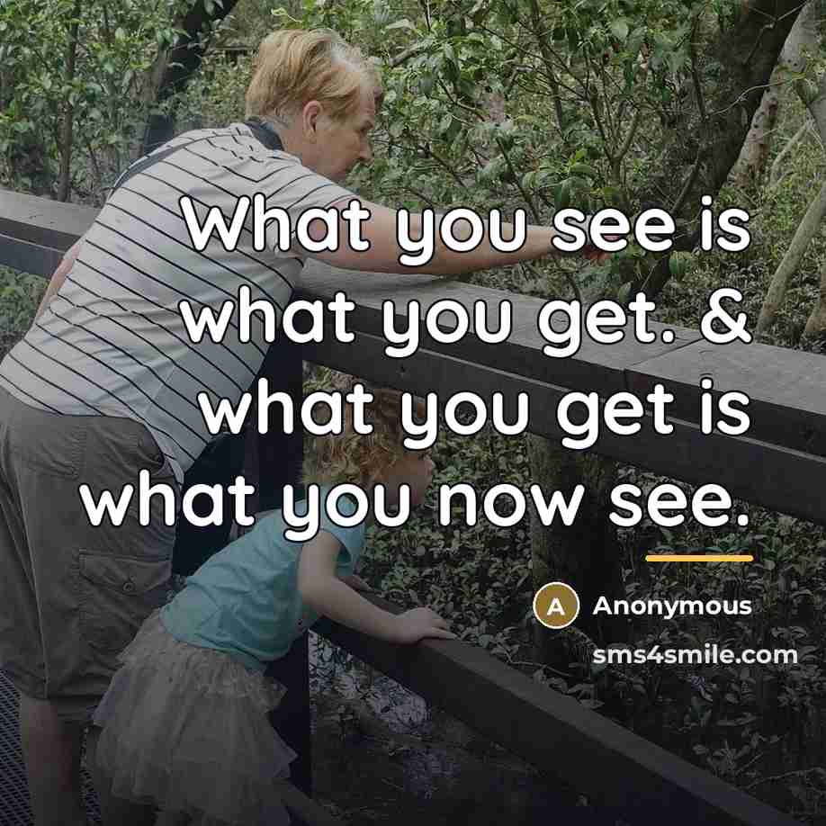 “What you see is what you get. & what you…” quote by Anonymous