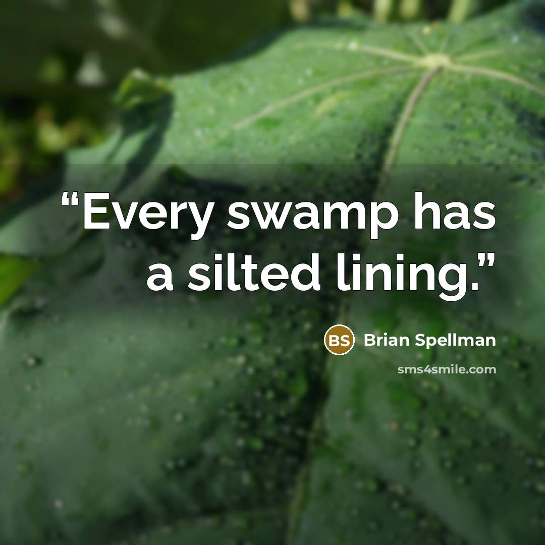 “Every swamp has a silted lining.” quote by Brian Spellman