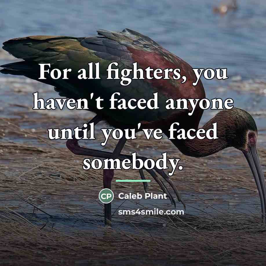“For all fighters, you haven't faced anyone until you've faced…” quote by Caleb Plant