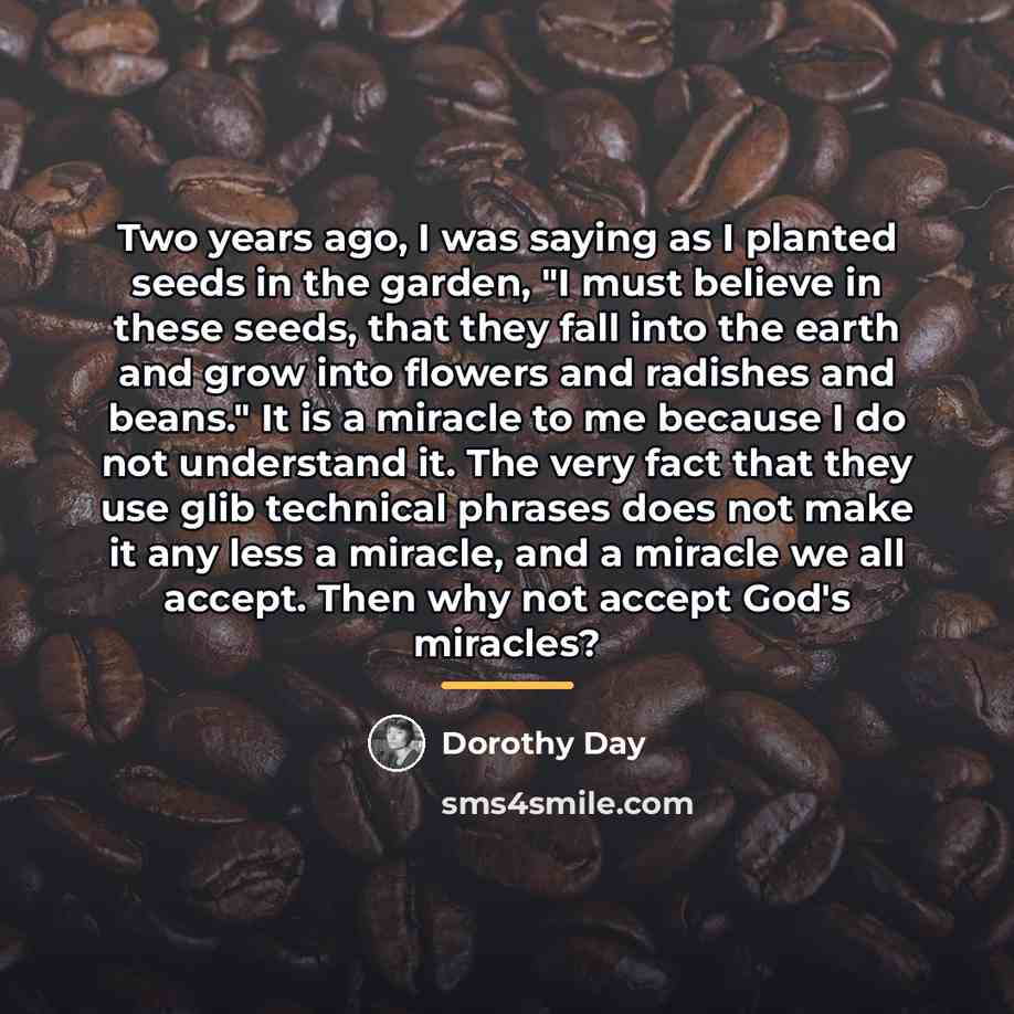 “Two years ago, I was saying as I planted seeds…” quote by Dorothy Day