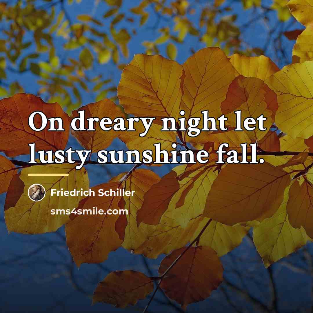 “On dreary night let lusty sunshine fall.…” quote by Friedrich Schiller