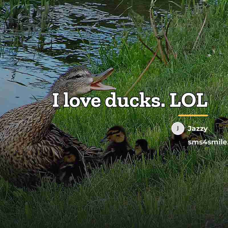 “I love ducks. LOL…” quote by Jazzy