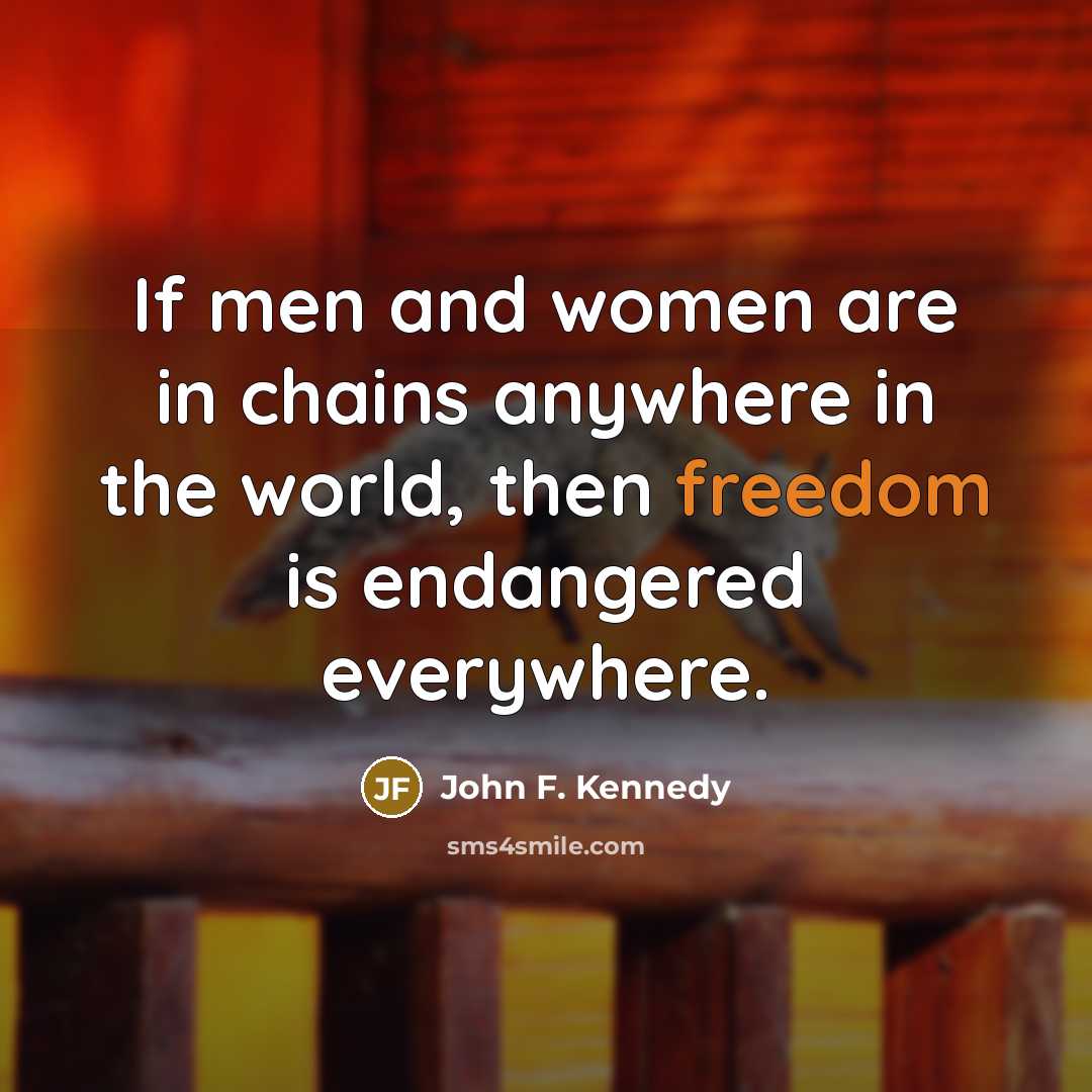 “If men and women are in chains anywhere in the…” quote by John F. Kennedy