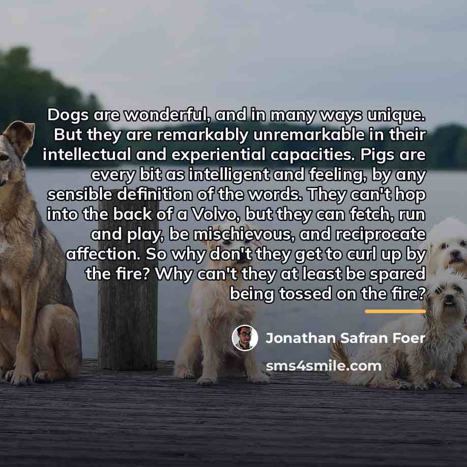 “Dogs are wonderful, and in many ways unique. But they…” quote by Jonathan Safran Foer