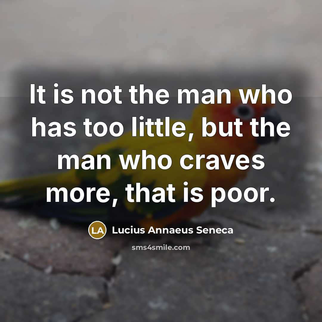 “It is not the man who has too little, but…” quote by Lucius Annaeus Seneca