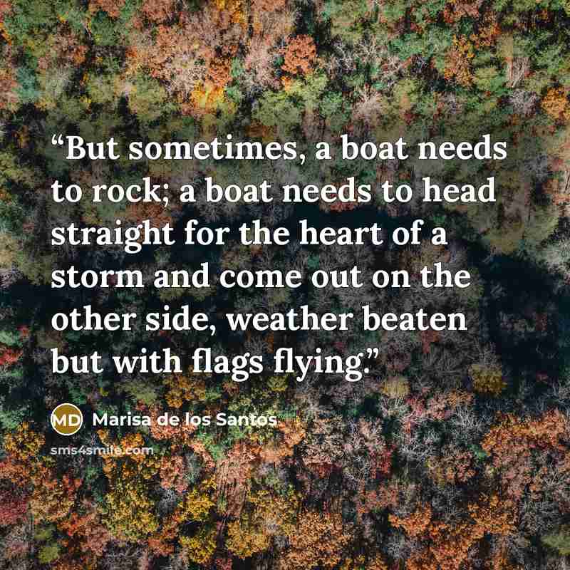 “But sometimes, a boat needs to rock; a boat needs to head straight for the heart of a storm and come out on the other side, weather beaten but with flags flying.” quote by Marisa de los Santos