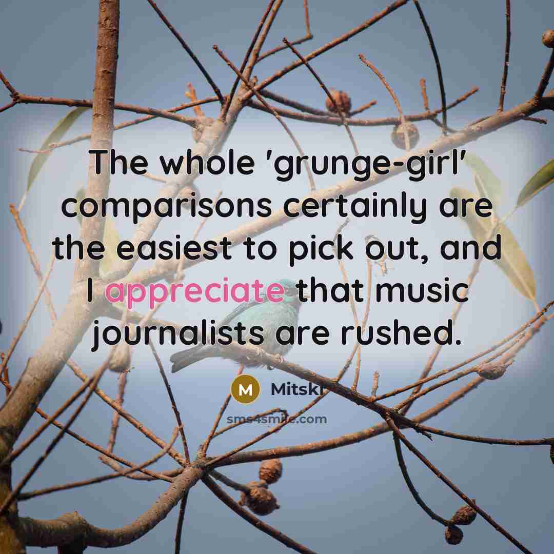 “The whole 'grunge-girl' comparisons certainly are the easiest to pick…” quote by Mitski