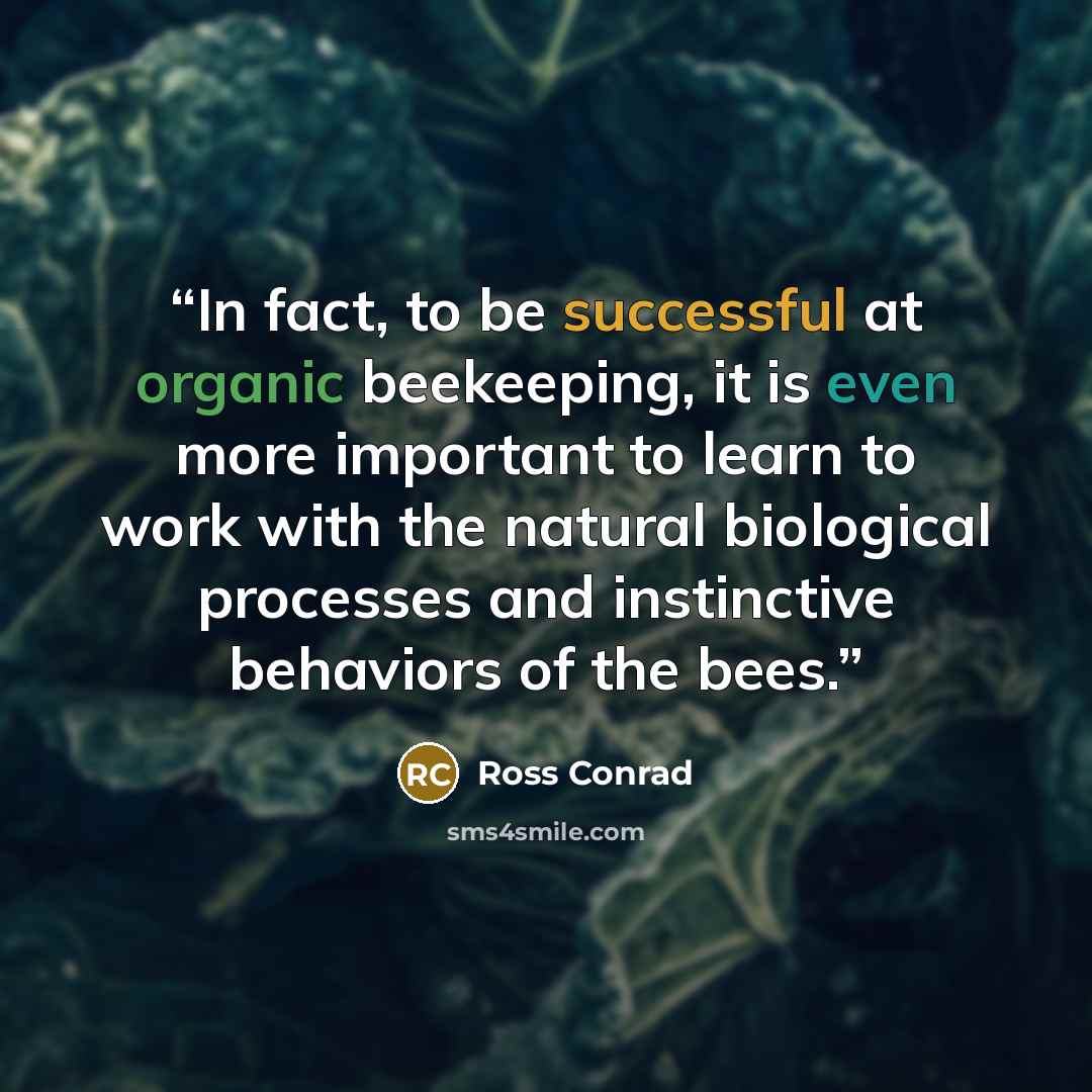 “In fact, to be successful at organic beekeeping, it is even more important to learn to work with the natural biological processes and instinctive behaviors of the bees.” quote by Ross Conrad