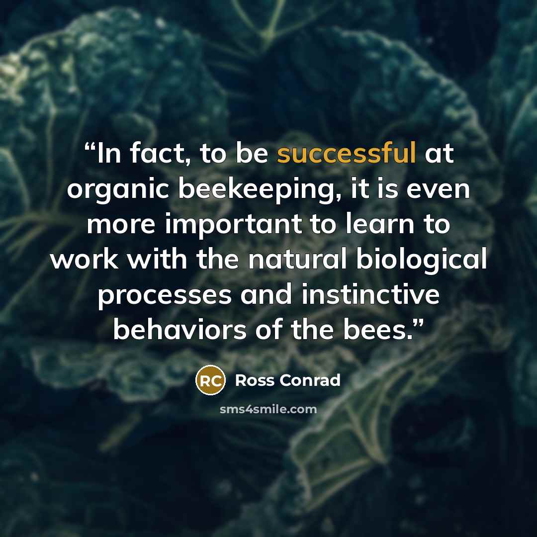 “In fact, to be successful at organic beekeeping, it is even more important to learn to work with the natural biological processes and instinctive behaviors of the bees.” quote by Ross Conrad