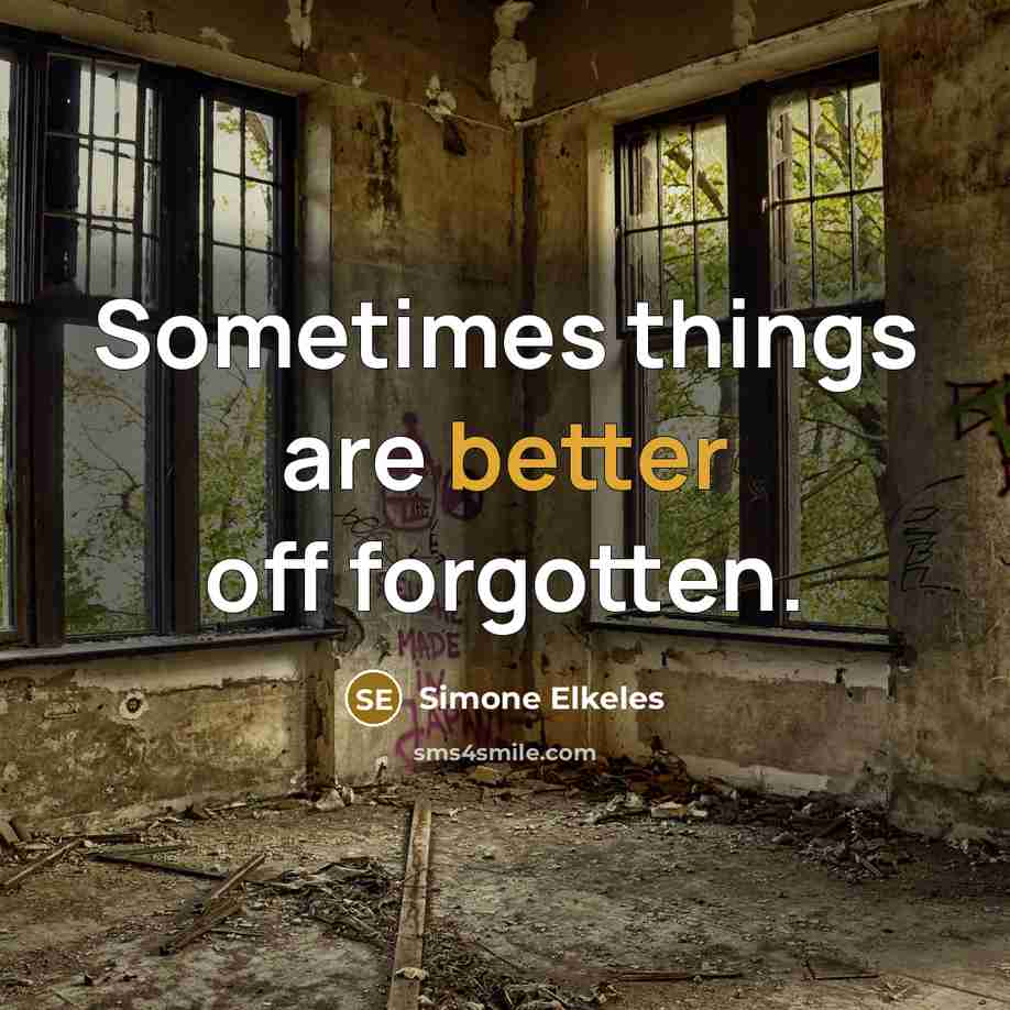 “Sometimes things are better off forgotten.” quote by Simone Elkeles