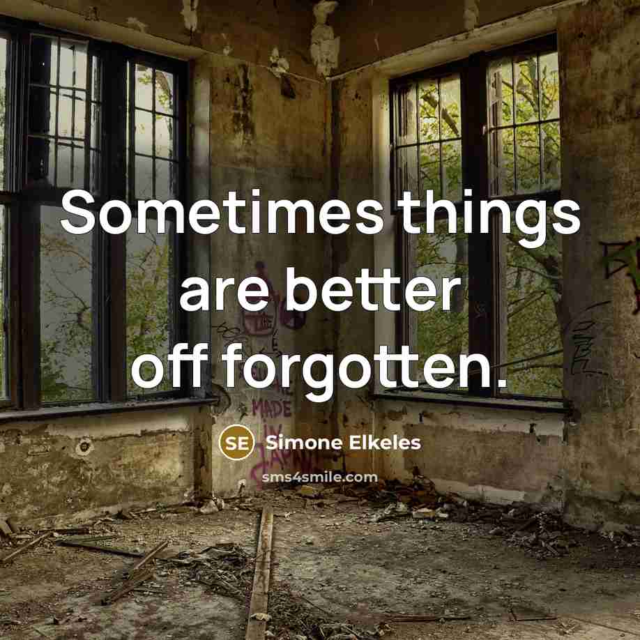 “Sometimes things are better off forgotten.…” quote by Simone Elkeles