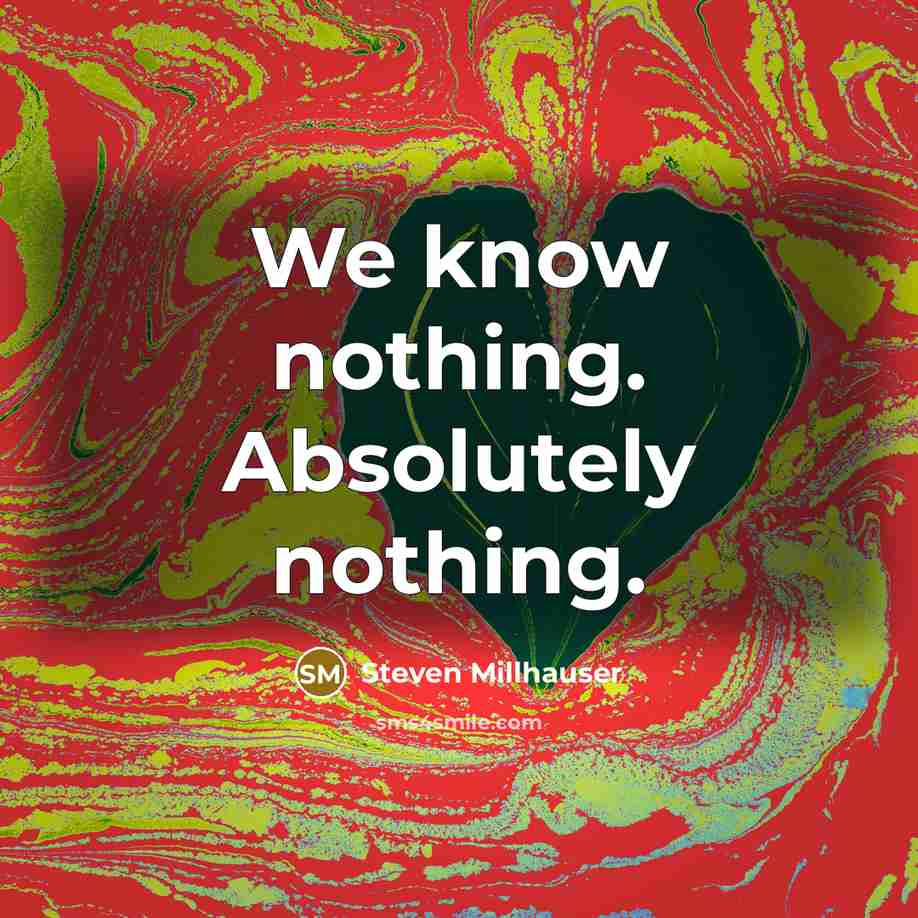 “We know nothing. Absolutely nothing.…” quote by Steven Millhauser