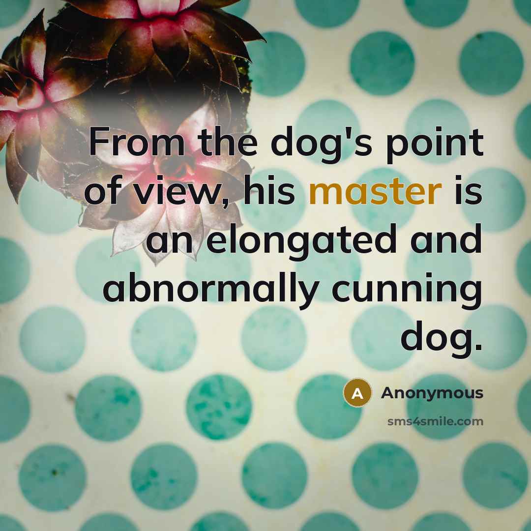 “From the dog's point of view, his master is an…” quote by Anonymous