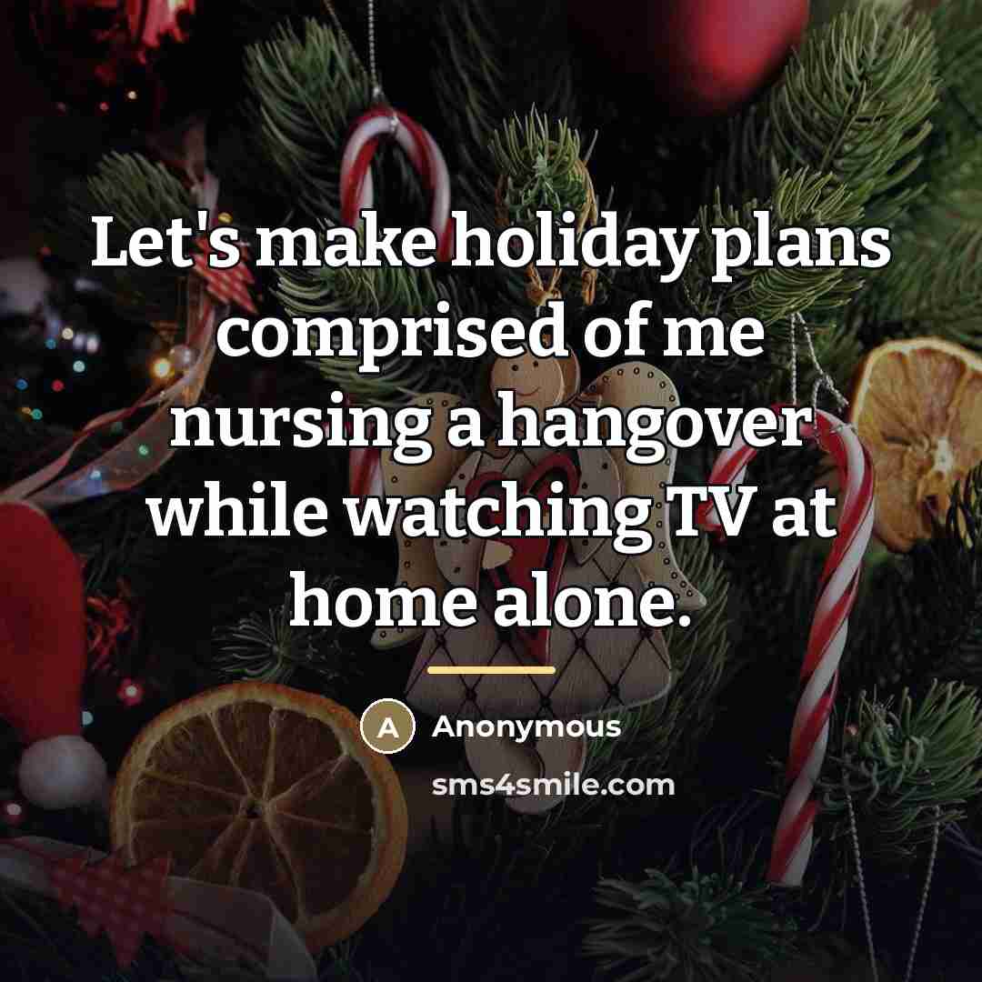 “Let's make holiday plans comprised of me nursing a hangover…” quote by Anonymous