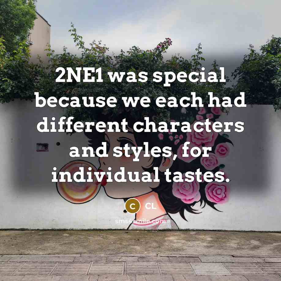 “2NE1 was special because we each had different characters and styles, for individual tastes.” quote by CL