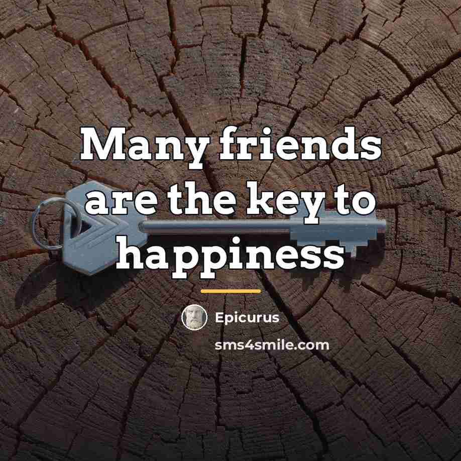 “Many friends are the key to happiness…” quote by Epicurus