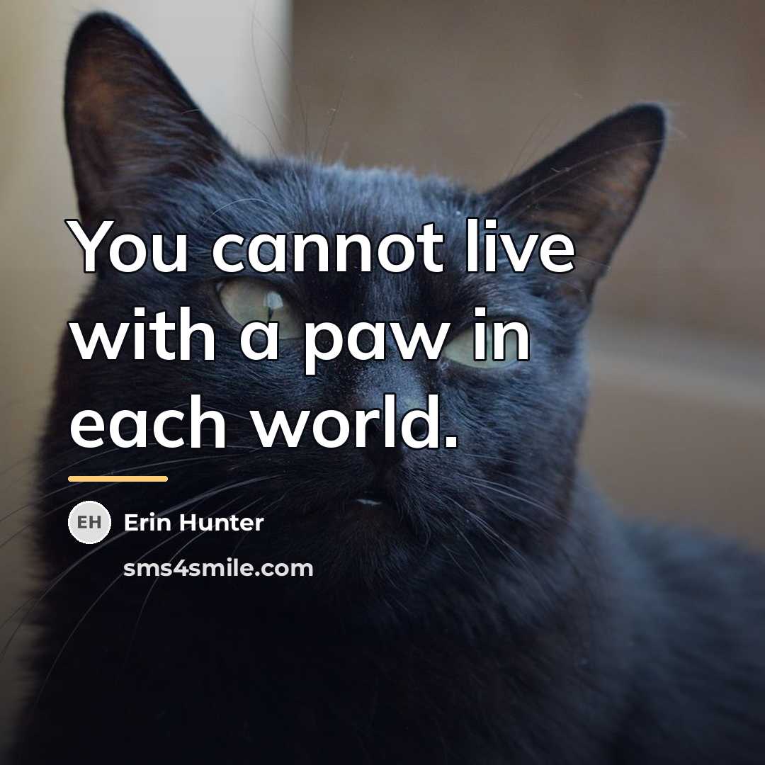 “You cannot live with a paw in each world.…” quote by Erin Hunter